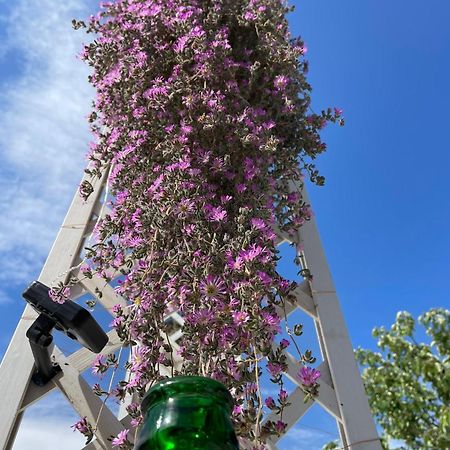 I Trulli Dei Nonni Evelin Villa Martina Franca Eksteriør bilde