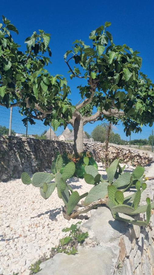 I Trulli Dei Nonni Evelin Villa Martina Franca Eksteriør bilde